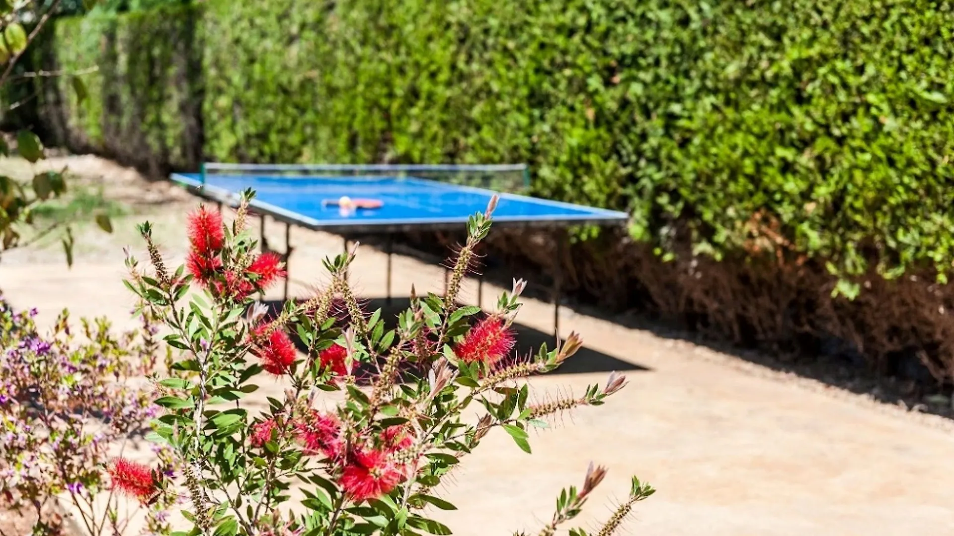 קמפנט Villa Sioneta
